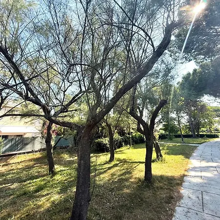 Lgm Confort Avec Terrasse & Parking, A Pied Apartamento La Grande-Motte